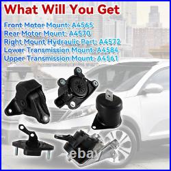 Engine Motor Mount Set for Auto Honda Accord 2008-2012 Acura TSX 2009-2013 2.4L