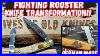 Fighting-Rooster-Knife-Transformation-From-Abused-To-Amazing-01-ka