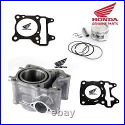 Honda Pcx 150 Ww150 Oem Top End Engine Rebuild Cylinder Kit 2015 2017 Genuine